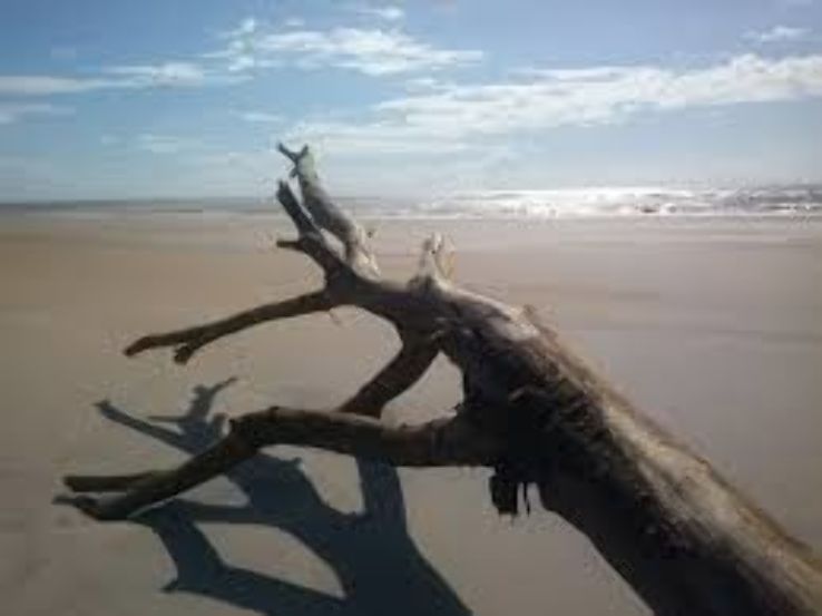 Sao Mateus do Sul Trip Packages