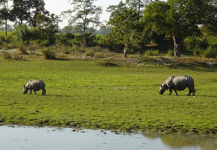 Magical Assam Nature Tour Package for 3 Days