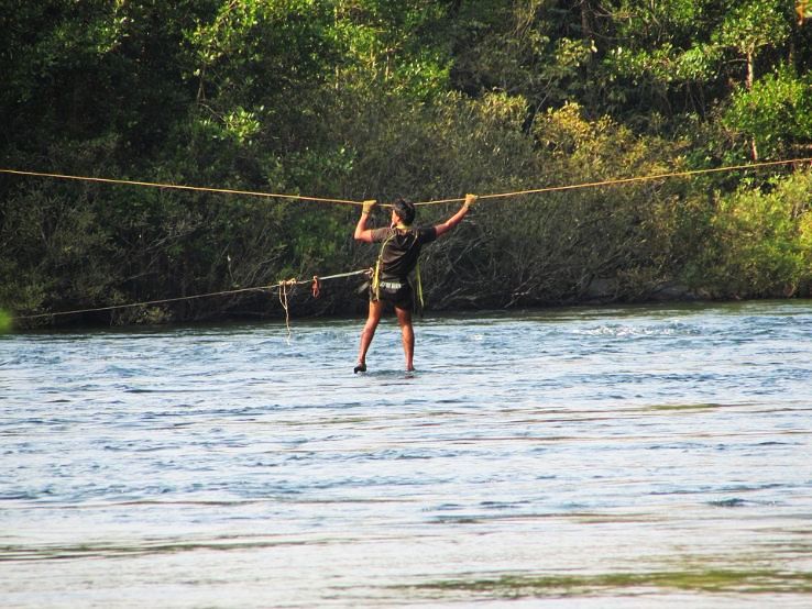 Dandelii Trip Packages