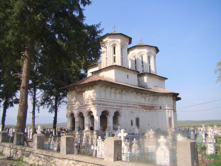 Telesti Trip Packages