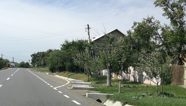 Schitu Duca Trip Packages