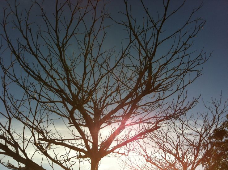 Sao Jose do Egito Trip Packages