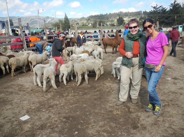 Saquisili Trip Packages