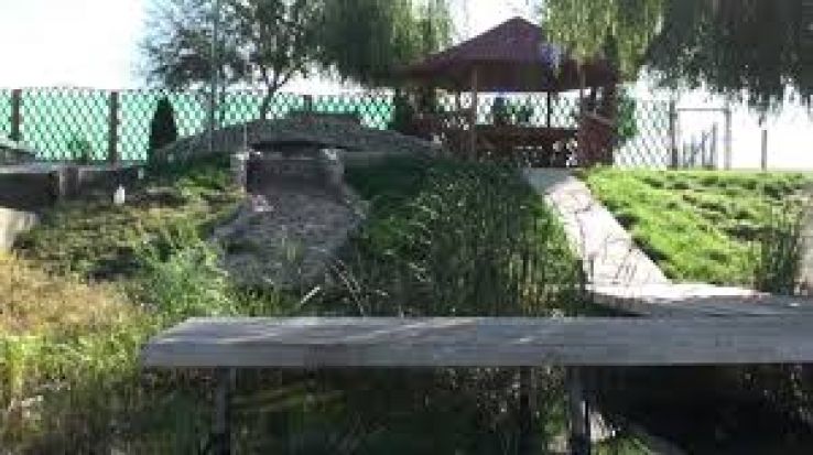 Salciile Trip Packages