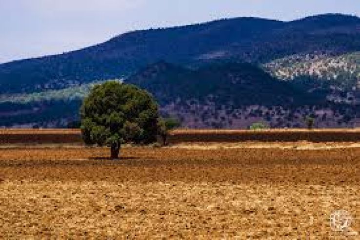 Sombrerete Trip Packages