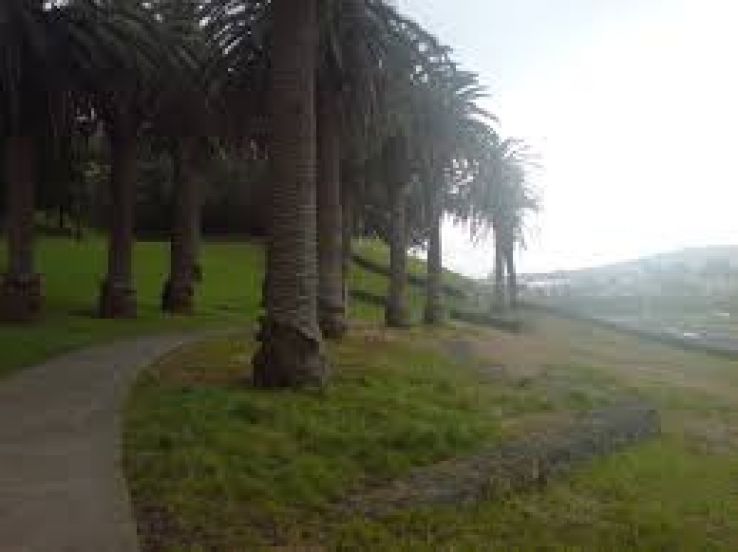 Mount Roskill Trip Packages