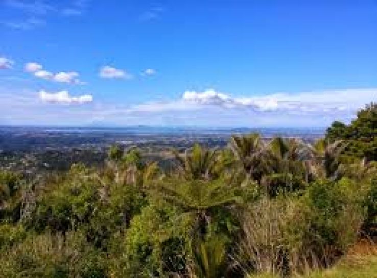 Waitakere Trip Packages