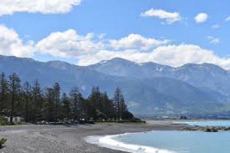 Kaikoura Trip Packages