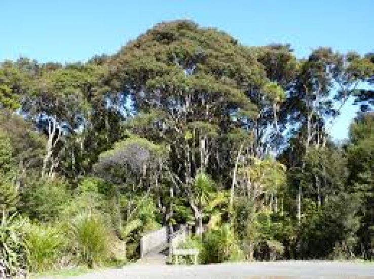 Waitakere Trip Packages