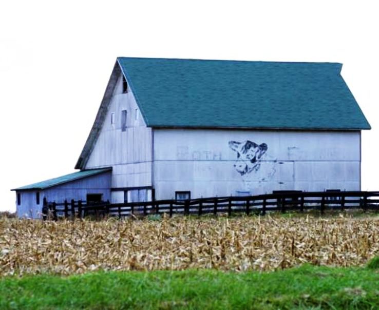 Gibson City Trip Packages