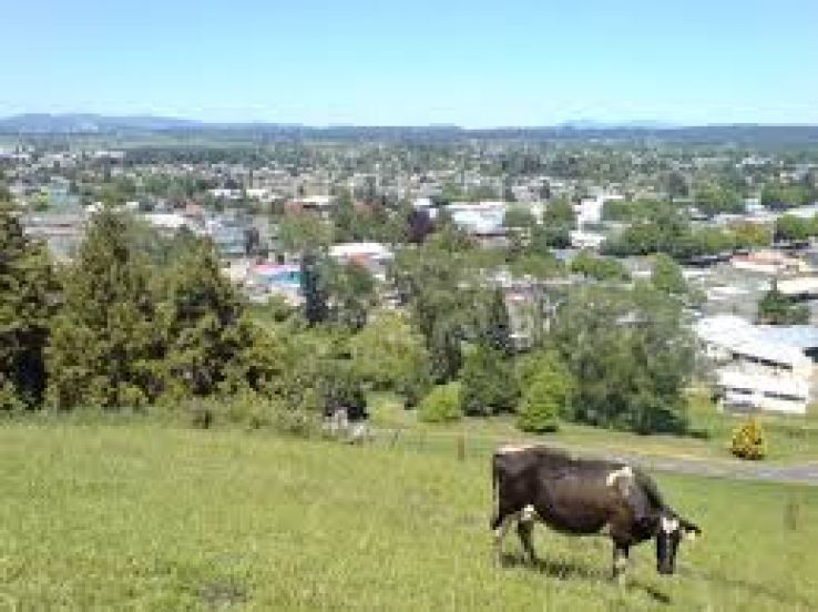 Tokoroa Trip Packages