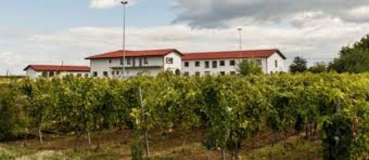 Panciu Trip Packages