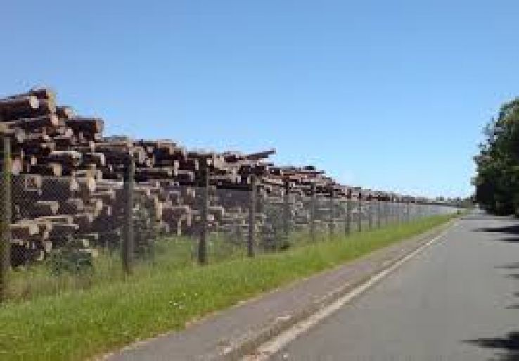 Tokoroa Trip Packages