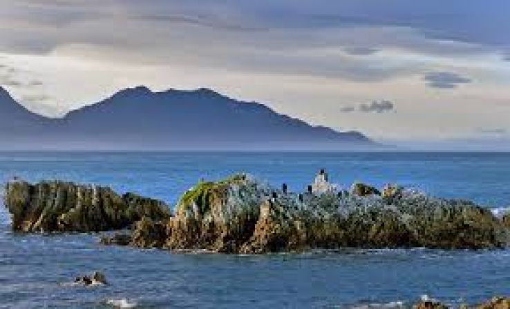 Kaikoura Trip Packages