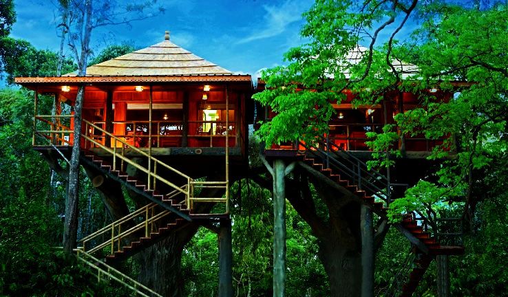 Thekkady Trip Packages