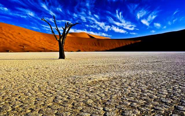 Magical 4 Days Namibia Wildlife Vacation Package
