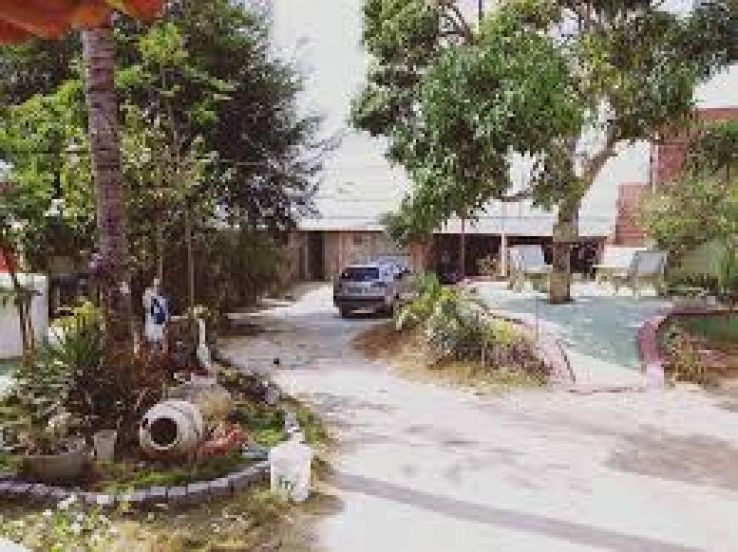 Surubim Trip Packages