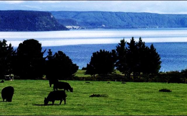 New Zealand Trip Packages