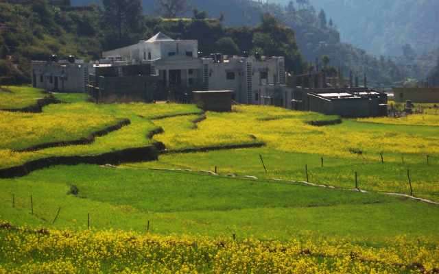 Tehri Garhwal Trip Packages