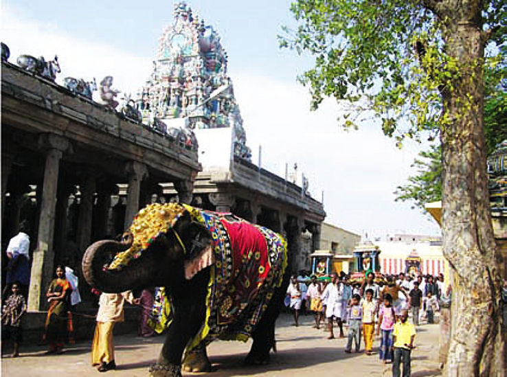 Palani Trip Packages