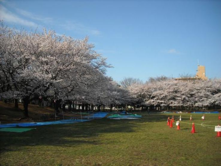 Warabi Trip Packages