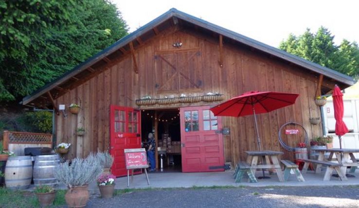 Aniche Trip Packages