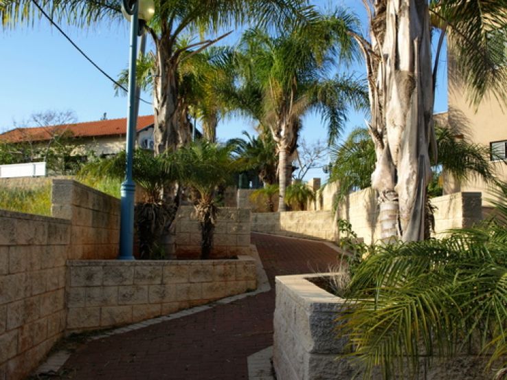 Kadima Zoran Trip Packages