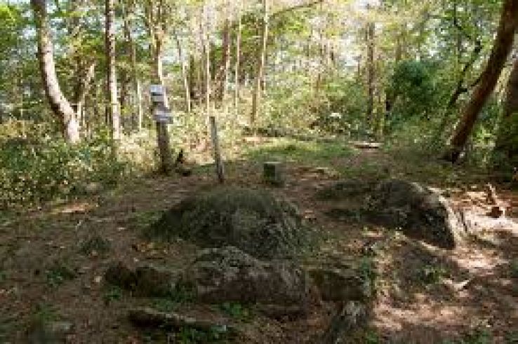 Takahagi Trip Packages