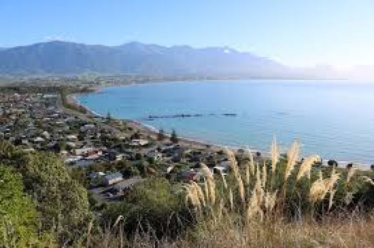 Kaikoura Trip Packages