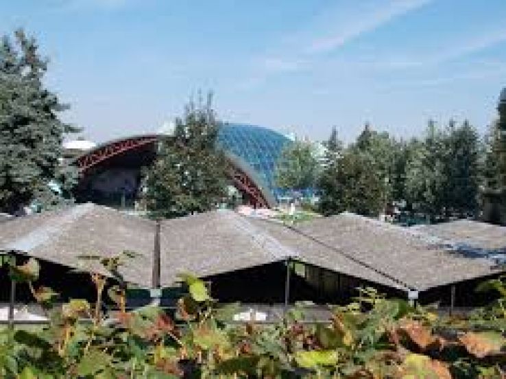 Tamasi Trip Packages