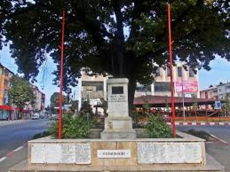 Panciu Trip Packages