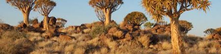 Keetmanshoop Trip Packages