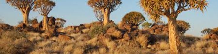 Keetmanshoop Trip Packages