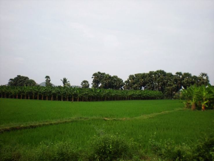 Vikramasingapuram  Trip Packages