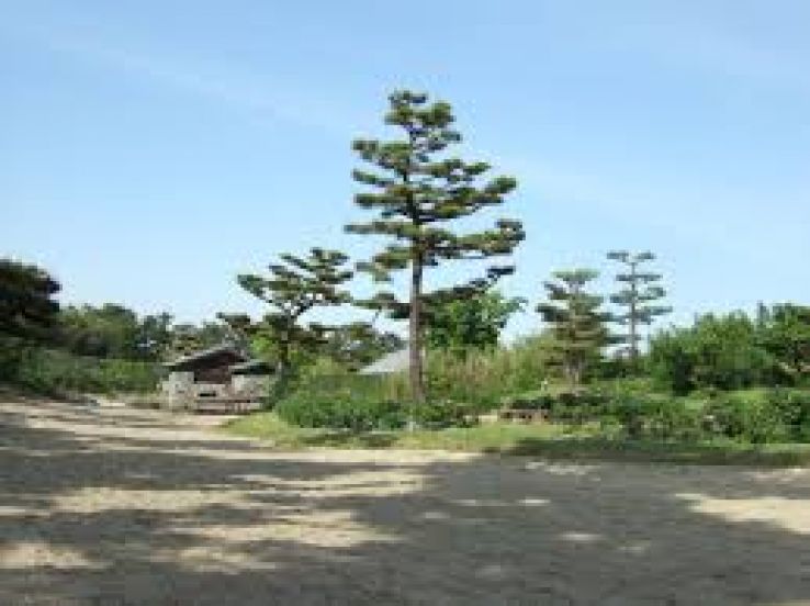 Takaishi Trip Packages