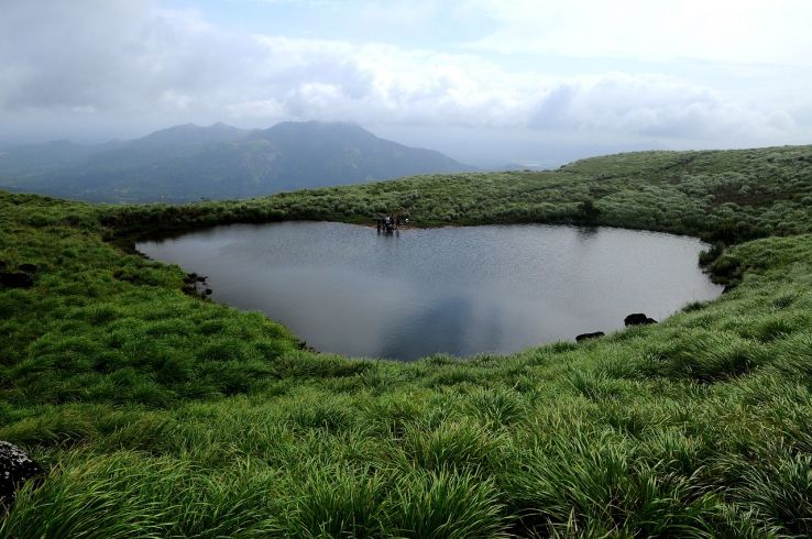 Experience Wayanad Tour Package from Kozhikode