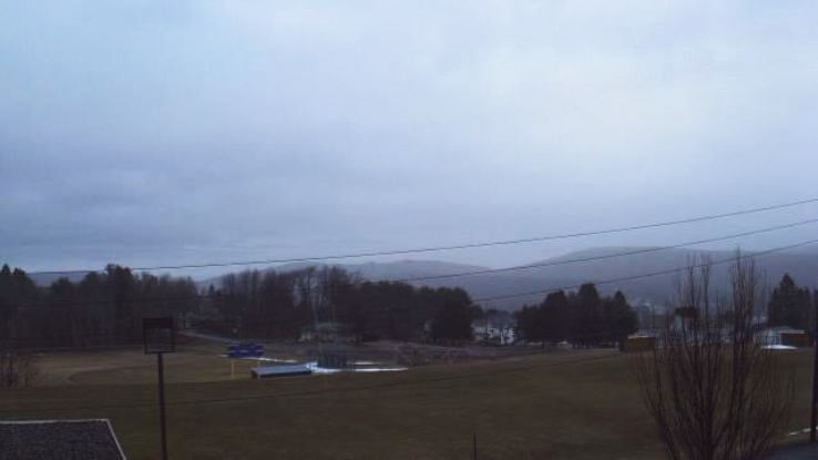 Forest Trip Packages