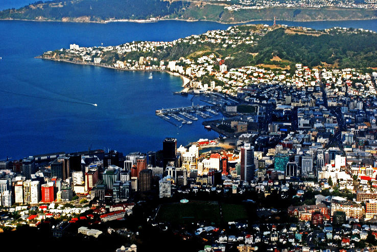 Wellington Trip Packages