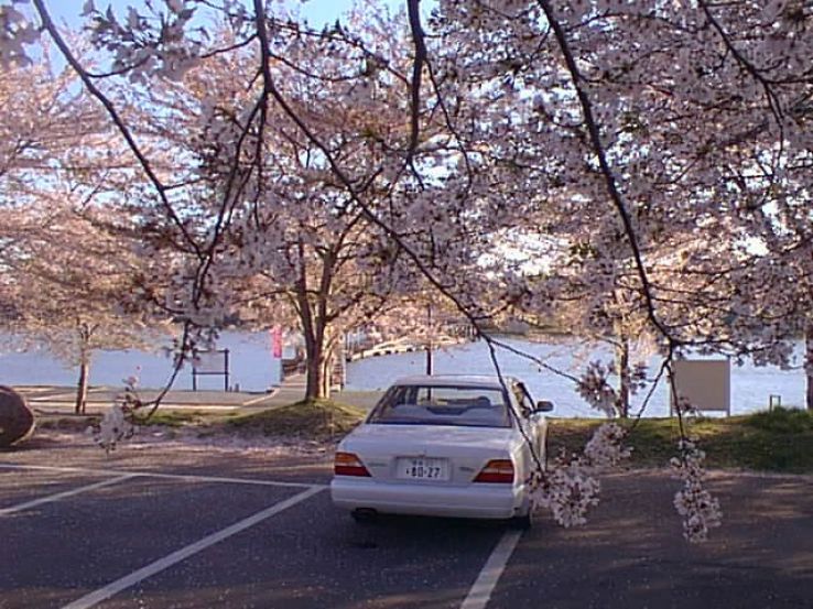 Miyagi Trip Packages