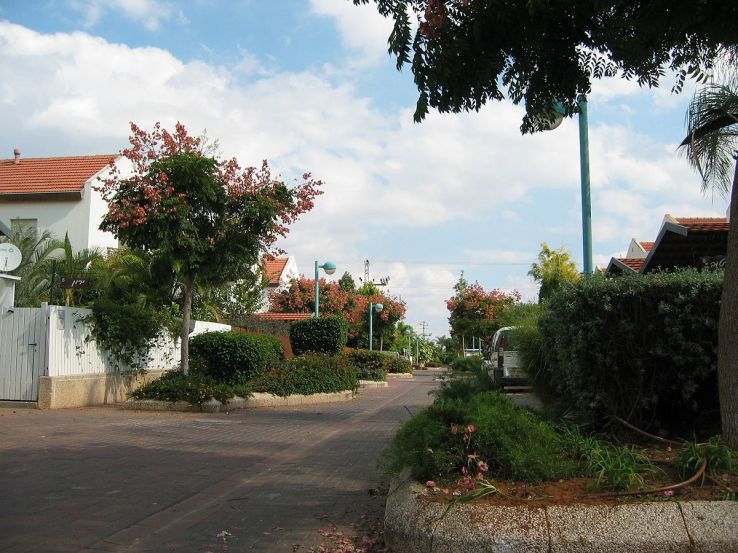 Kadima Zoran Trip Packages