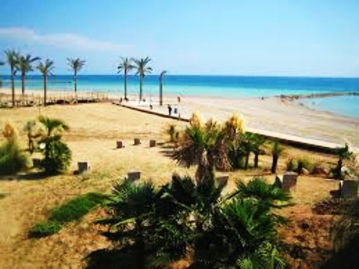 Benicassim Trip Packages