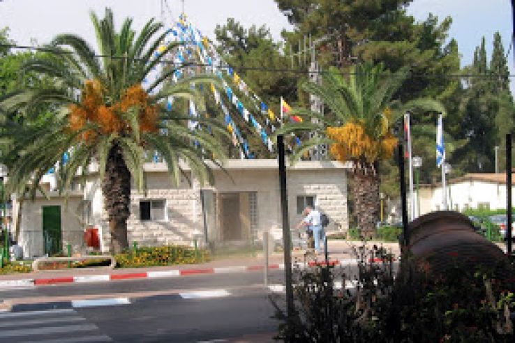 Kadima Zoran Trip Packages