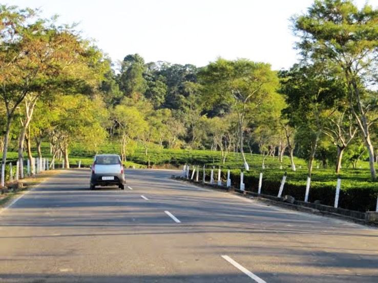 Amguri Trip Packages