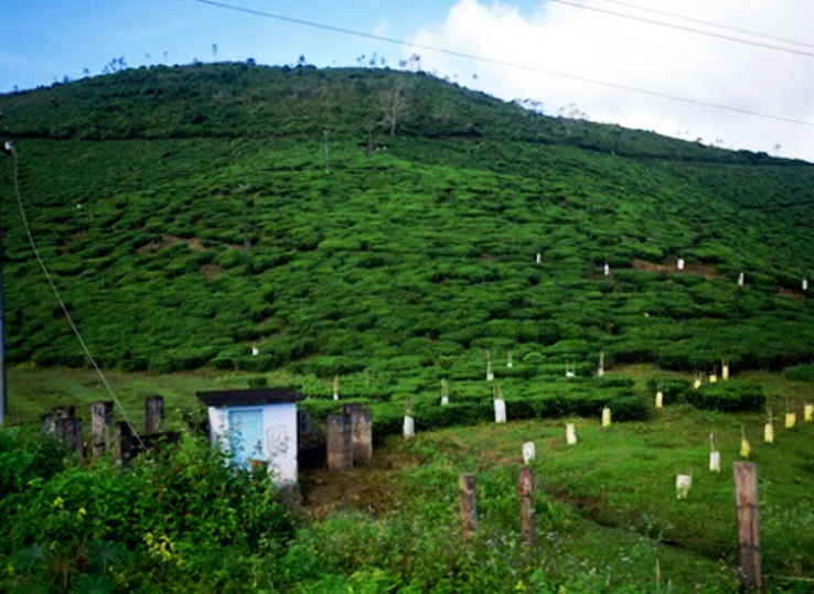 kumily surrounding tourist places