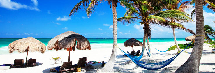 Daphne Trip Packages