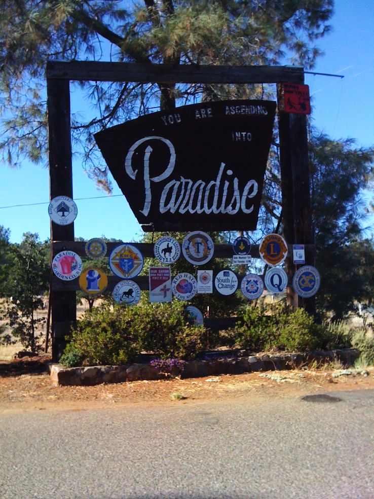 Paradise Trip Packages