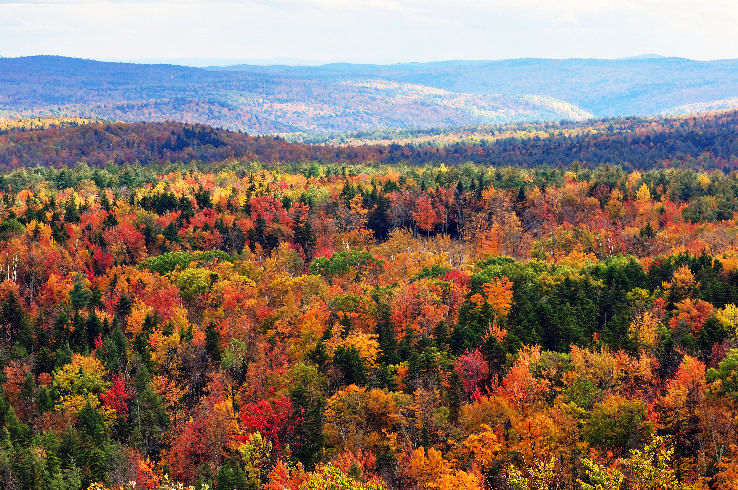 Vermont Trip Packages