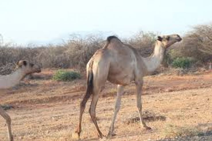 Marsabit Trip Packages
