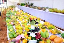 10 Must-visit Festivals That Celebrate India S Fruits & Veggies