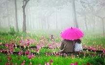 Top 9 Hill Stations For Honeymoon In North East India